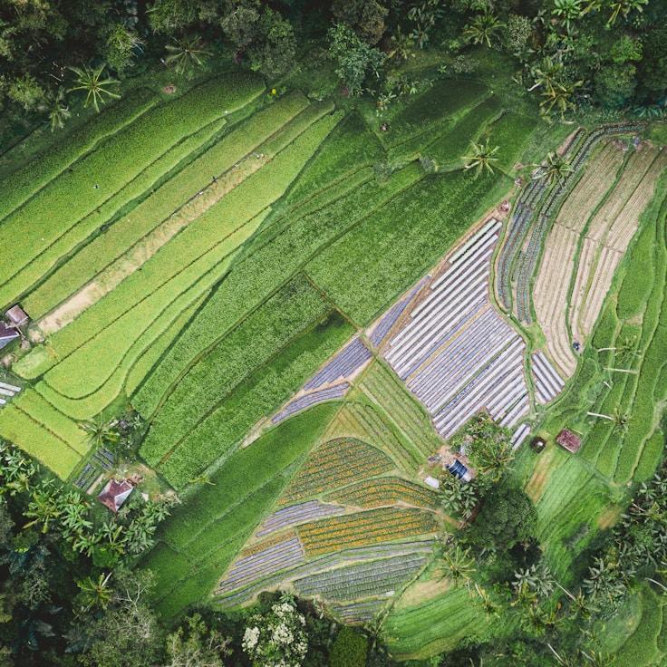 Outdoor terrace seating suitable for families in Düsseldorf